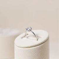 /public/photos/live/Classic Engagement Ring-1071 (1).webp